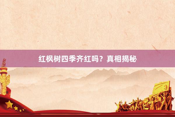红枫树四季齐红吗？真相揭秘