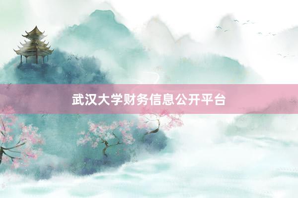 武汉大学财务信息公开平台